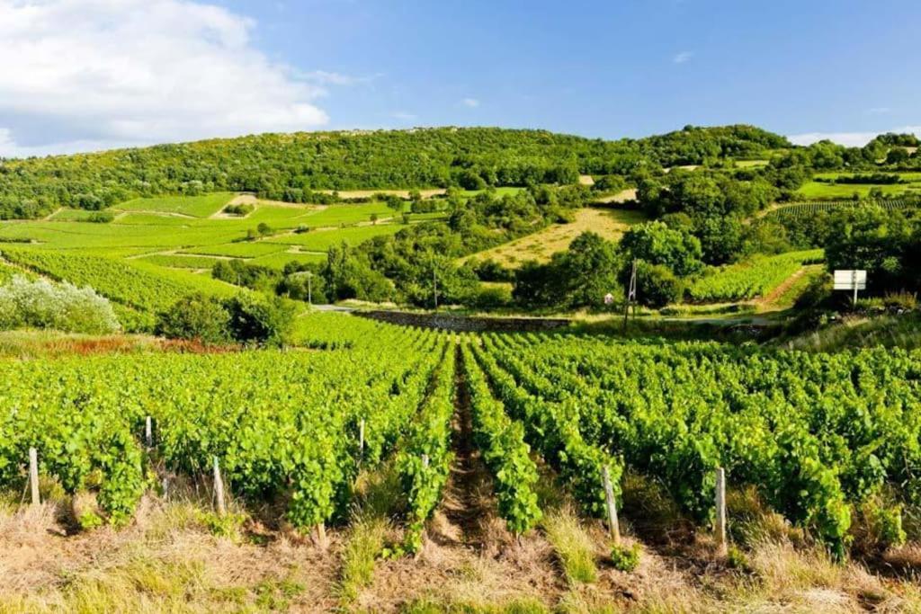 Le Chardonnay - Locationtournus Διαμέρισμα Εξωτερικό φωτογραφία